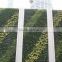 factory price natural looking artificial plant wall, vertical artificial green wall,indoor or outdoor