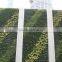 factory price natural looking artificial plant wall, vertical artificial green wall,indoor or outdoor