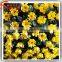 Factory wholesale decorative artificial topiary boxwood flower ball