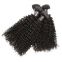 Afro Curl Natural Black Full Brazilian Tangle Free Lace Human Hair Wigs