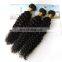 Brazilian virgin hair virgin curly hair