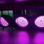 New Long Lighting distance Waterproof LED Flood Light CREE CHIP palm trees lighting 60W