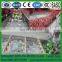 High Quality Turnip /Apple/Pear/Fruit And Vegetable Washing machine