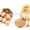 commerical home farm use fully automatic chicken egg incubator hatching machine for sale