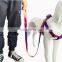 colorful  dog harness and leash set pet products set convenience and practical harness and leash for dogs