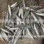 Frozen Slender Mackerel for sale with size 55 - 70 pcs /10 kg