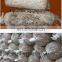 Hongxin Super Mushroom Growing Bag Filling Machine/mushroom Cultivation Machine