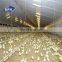 Cheap Industrial Shed Design Prefabricated Building Big Steel Structure Meat Chicken House With Best Quality