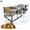 Commercial Bubble Ozone Fruit Washing Machine Broccoli Spinach Lemongrass Okra Pepper Vegetable Washer