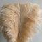 Ostrich Feather From China For Wholesale