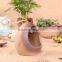 New Shape Stoneware Flower Pot