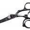 Black Titanium Hair Scissors,Professional Hair Cutting Barber Scissors/Razor Shears