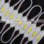 RGB led module CE/ROHS approved 12~24v COB inject modules for outdoor/indoor brighten