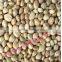 large amount hemp Seed supplier