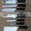 kitchen knife set of 10 pcs ABS handle Mirror