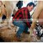 Farm Portable Vacuum Pump Cow Milking Machine For Sale