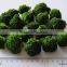 Frozen Broccoli Florets