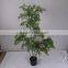 Natural look artificial bonsai tree bonsai plant with wholesale price