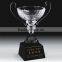 New Design Crystal Trophy Cup