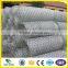 1/2"X1/2" galvanized poultry fence wire mesh