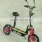 2013 Newest 800W 36V Big Wheel Electric scooter with basket(XW-E05P)