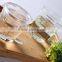 2015 china 250ml/500ml wholesale borosilicate glass measuring cup, food stardard glass measuring cup for kitchenware