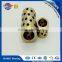Oilless Thrust Bearing