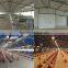 turnkey chicken farm design building