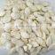 Fresh Best Cheaper Snow White Pumpkin Seed Suppliers