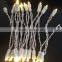 LED light chain/holiday light