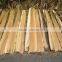 Banana tree barks_QQ : 2598494113