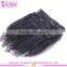 Wholesale Factory Price 10-30" Afro Kinky Curly Clip in Hair Extensions Virgin Brazilian Clip in Hair Extension