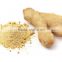 Professional Supplier Supply Dried Ginger Flakes Dehydrated Vegetables