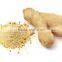 Professional Supplier Supply Dried Ginger Flakes Dehydrated Vegetables