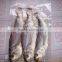 vacuum packing bag for mattress