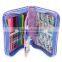 Fro zen 1 Zipper/Compartment Pencil Case with all Accessories