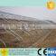 large multi-span commercial agriculture greenhouse