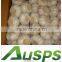 Fresh Garlic 2015 Crop