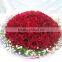 Supply High Quality Fresh Cut Flower Red Rose
