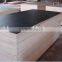 melamine paper face and back plywood,shandong linyi plywood