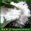Anhydrous Magnesium Chloride MgCl2