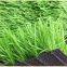 Soccer field artificial grass