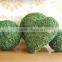 Fine packing dry moss decorations eva foam balls
