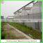 Low Cost Arched Type Multi-span Vegetable Greenhouses With Hydroponics System