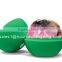Glass Water Bottle with Fruit Iceball Maker