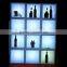 16 colors changing bottle display rack, led ice bucket, led ice basin