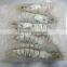 HACCP Vannamei White Shrimp PND Tail-Off