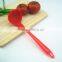 Silicone Kitchen Cooking Soup Ladle with Nylon Handle