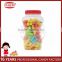 Multi Color Fruit Chalk Shape Bubble Gum Bottle Pack