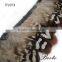 Guangzhou factory wholesale artificial feathers pheasant for feather headpiece carnival